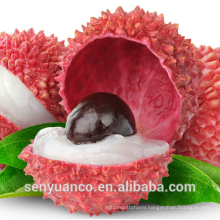 Litchi Seed Extract /Lychee Extract/Litchi Fruit Extract